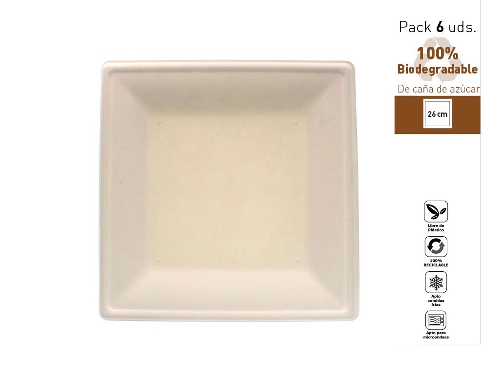 SET 6 PLATS CARR. BIODEGRADABLES 26 CM. cod. 1300554