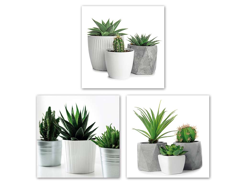 LAMINA 28X28 PLANTAS SURT-3 cod. 3001633