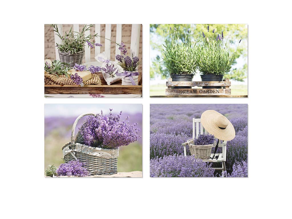 LAMINA 30X40 LAVANDA ASS-4 cod. 3001695