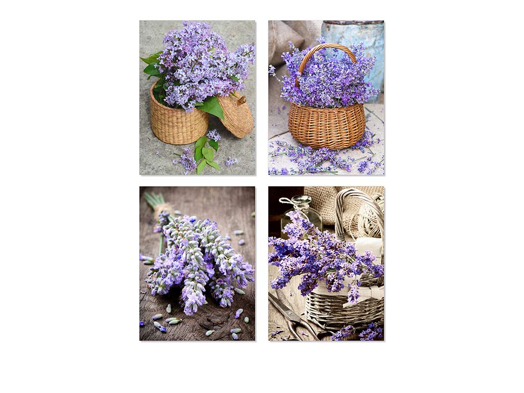LAMINA 30X40 LAVANDA ASS-4 cod. 3001696