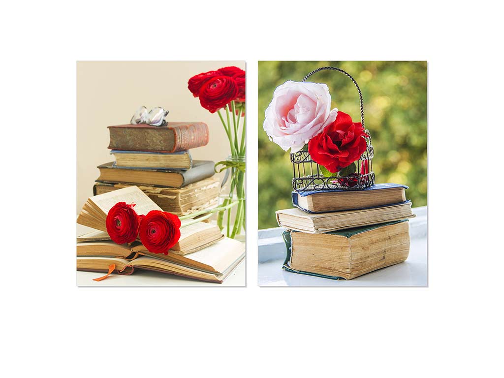 LAMINA 30X40 ROSE/LIBRI ASS-2 cod. 3001697