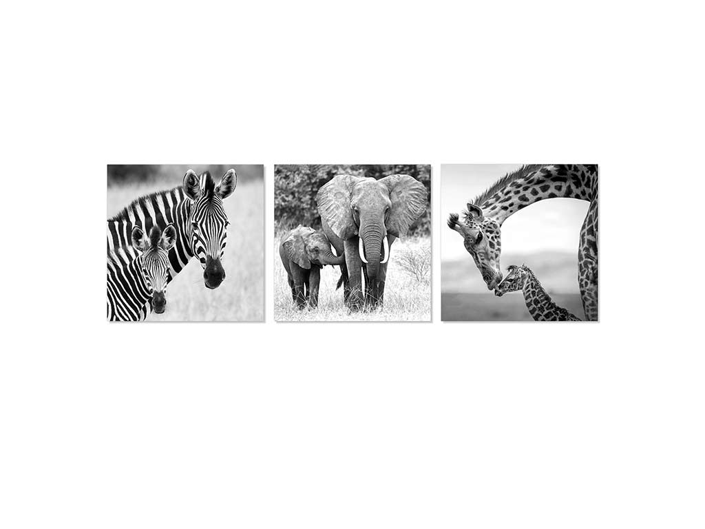 LAMINA 40X40 SAFARI ASS-3 cod. 3001702