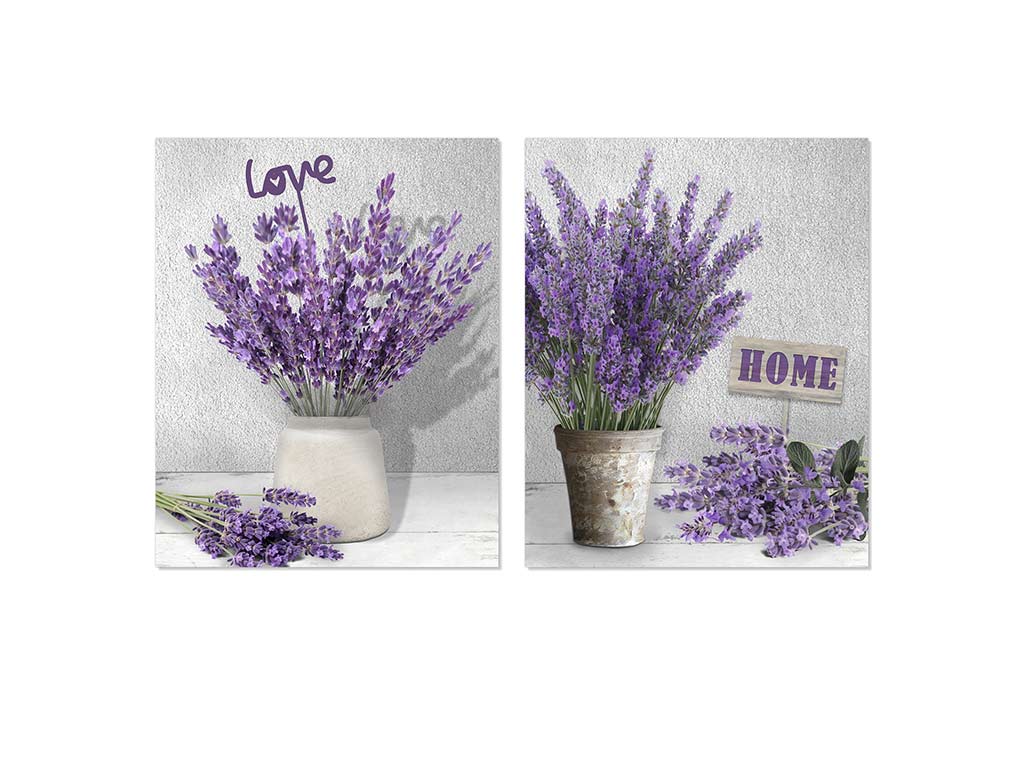 LAMINA 40X50 LAVANDA ASS-2 cod. 3001725
