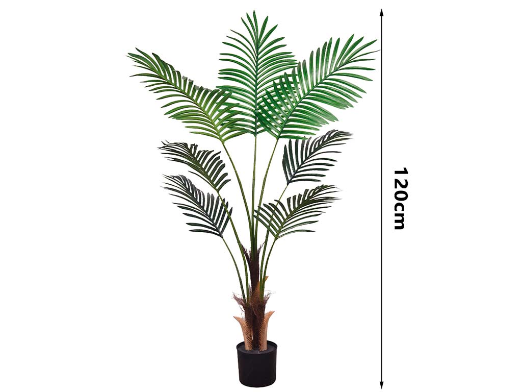 PALMA ARECA 120 CM. 7 FOGLIE cod. 3200206