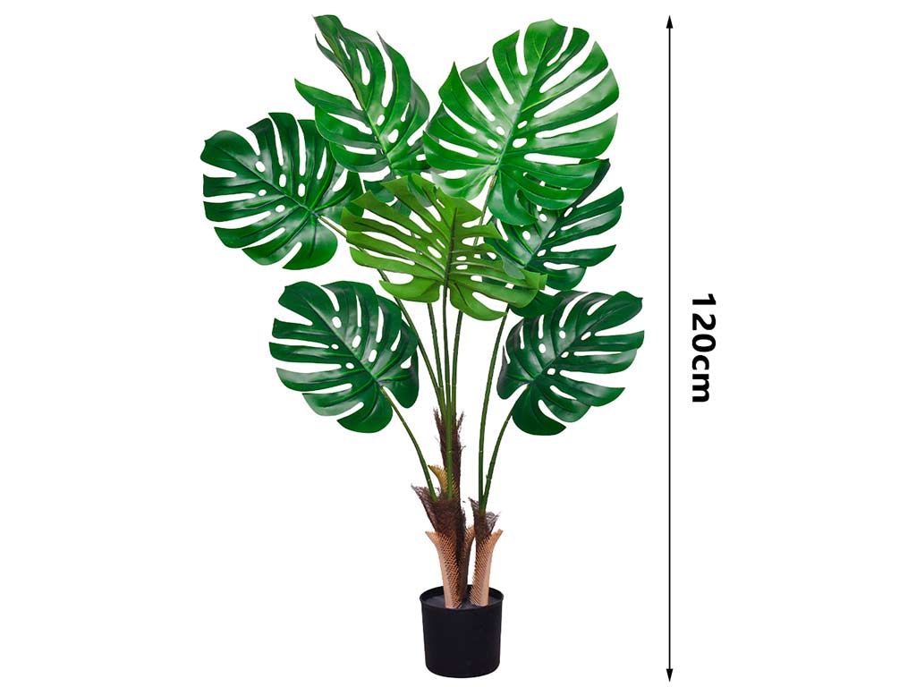 MONSTERA DELICIOSA 120 CM. 7 FOGLI cod. 3200209