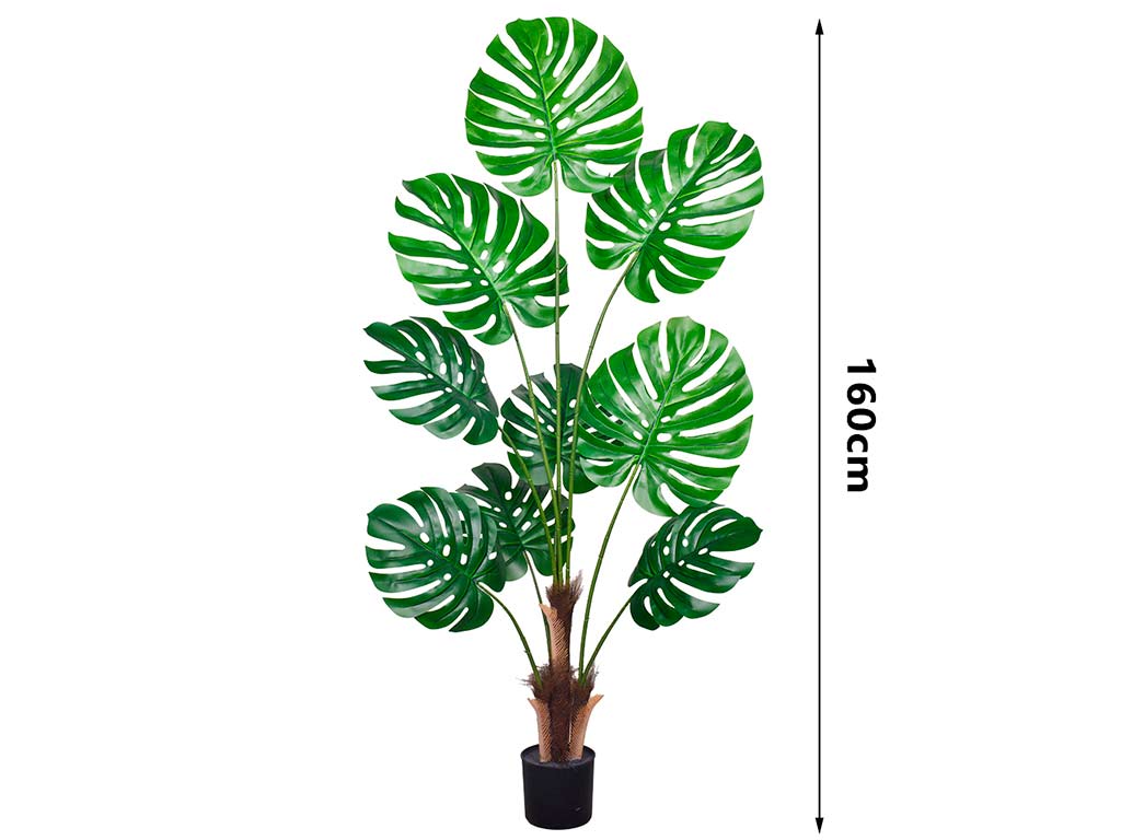 MONSTERA DELICIOSA 160 CM. 9 FOGLI cod. 3200210