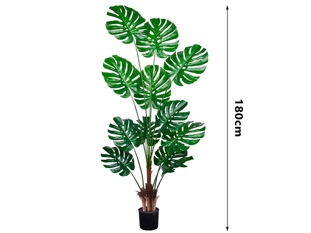 MONSTERA DELICIOSA 180 CM. 12 FOGLI cod. 3200211