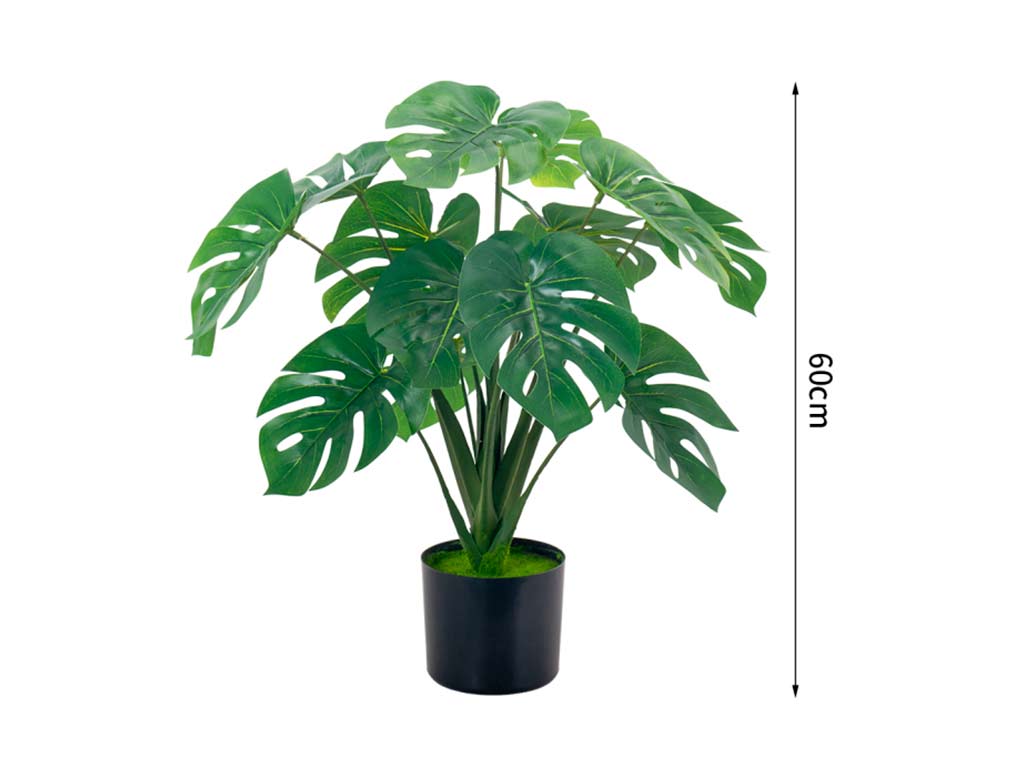 MONSTERA DELICIOSA 60 CM. 10 FOGLI cod. 3200212