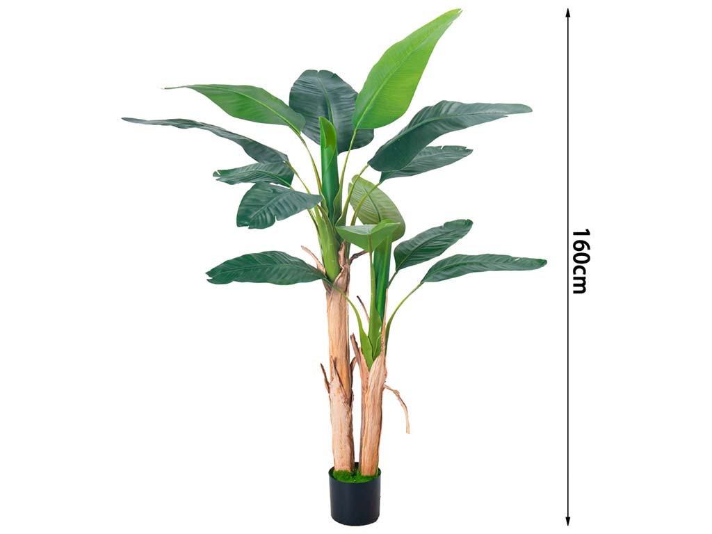 DOPPIO BANANA 160 CM. 15 FOGLIE cod. 3200214
