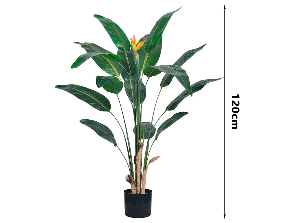 UCCELLO DEL PARADISO 120 CM. FIORE 15 FO cod. 3200215