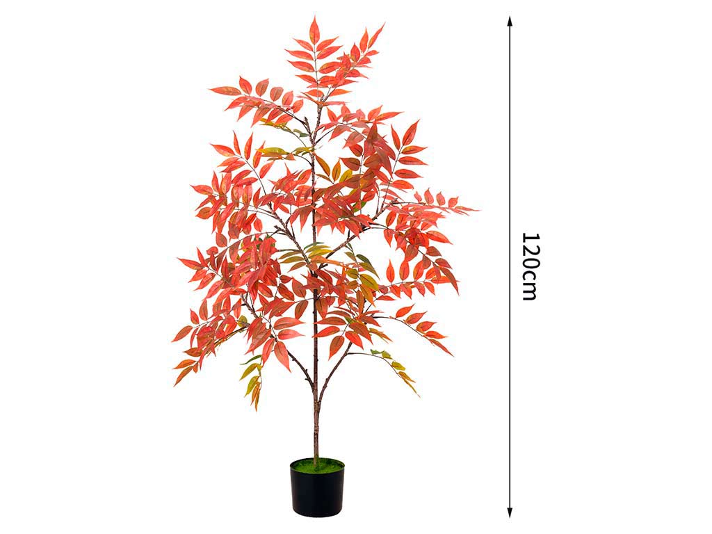 BAMBÙ SACRO NANDINA 120 CM. 5 RAMI cod. 3200218