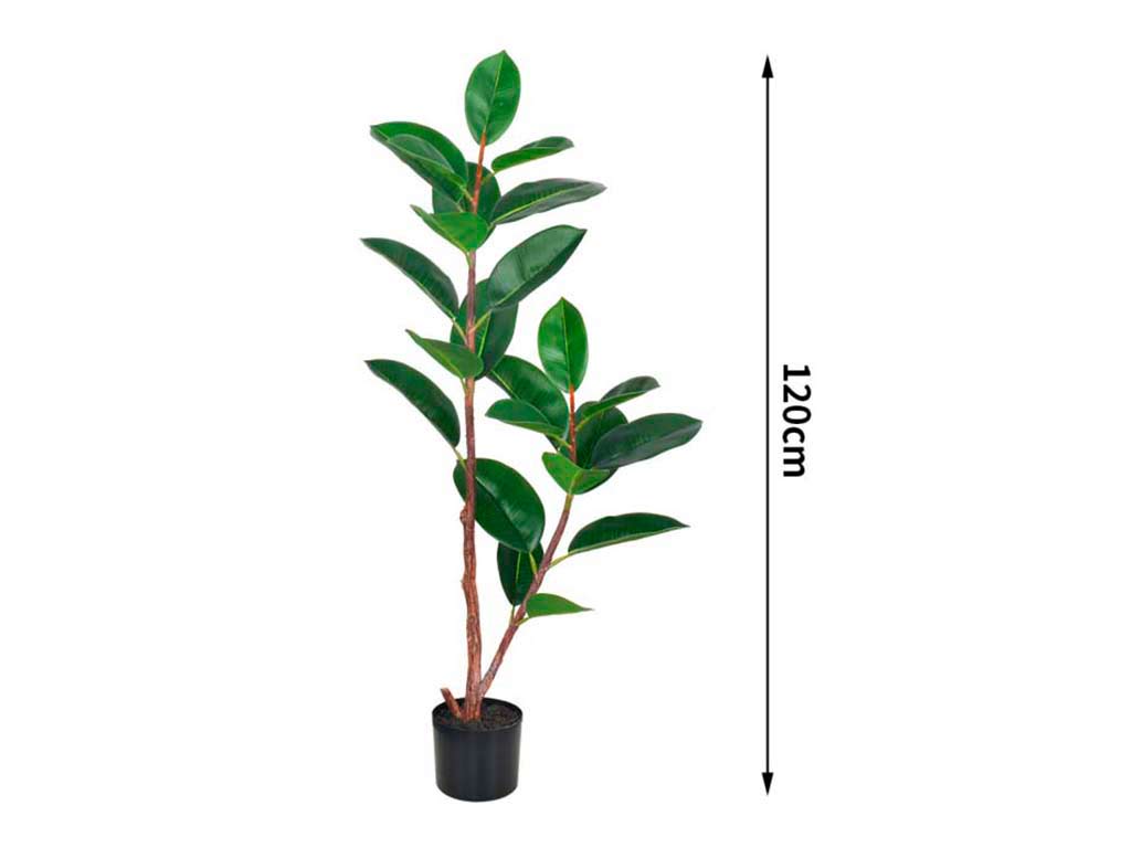FICUS ELASTICA 120 CM. 23 FOGLI cod. 3200224