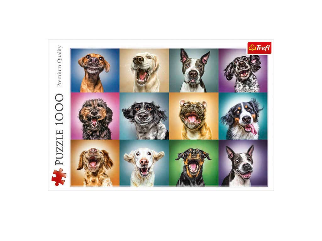 R.10462-PUZLE 1000 PZS. PERROS DIVERTIDO cod. 8000651