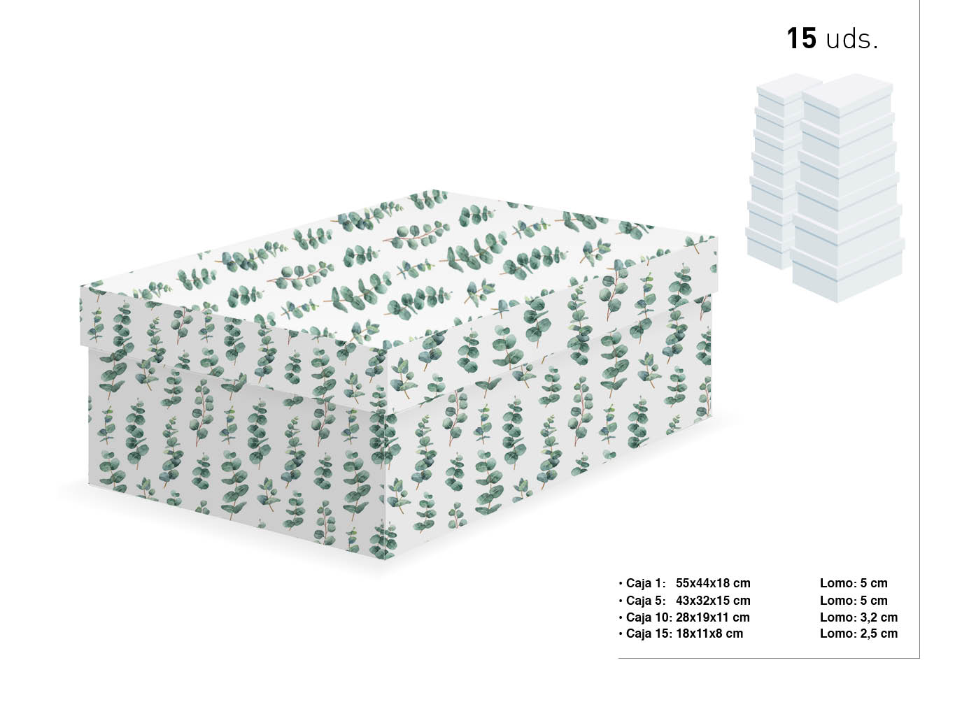 SET 15 CAJAS EUCALIPTO 55X44X18-18X11X8 cod. 9201064
