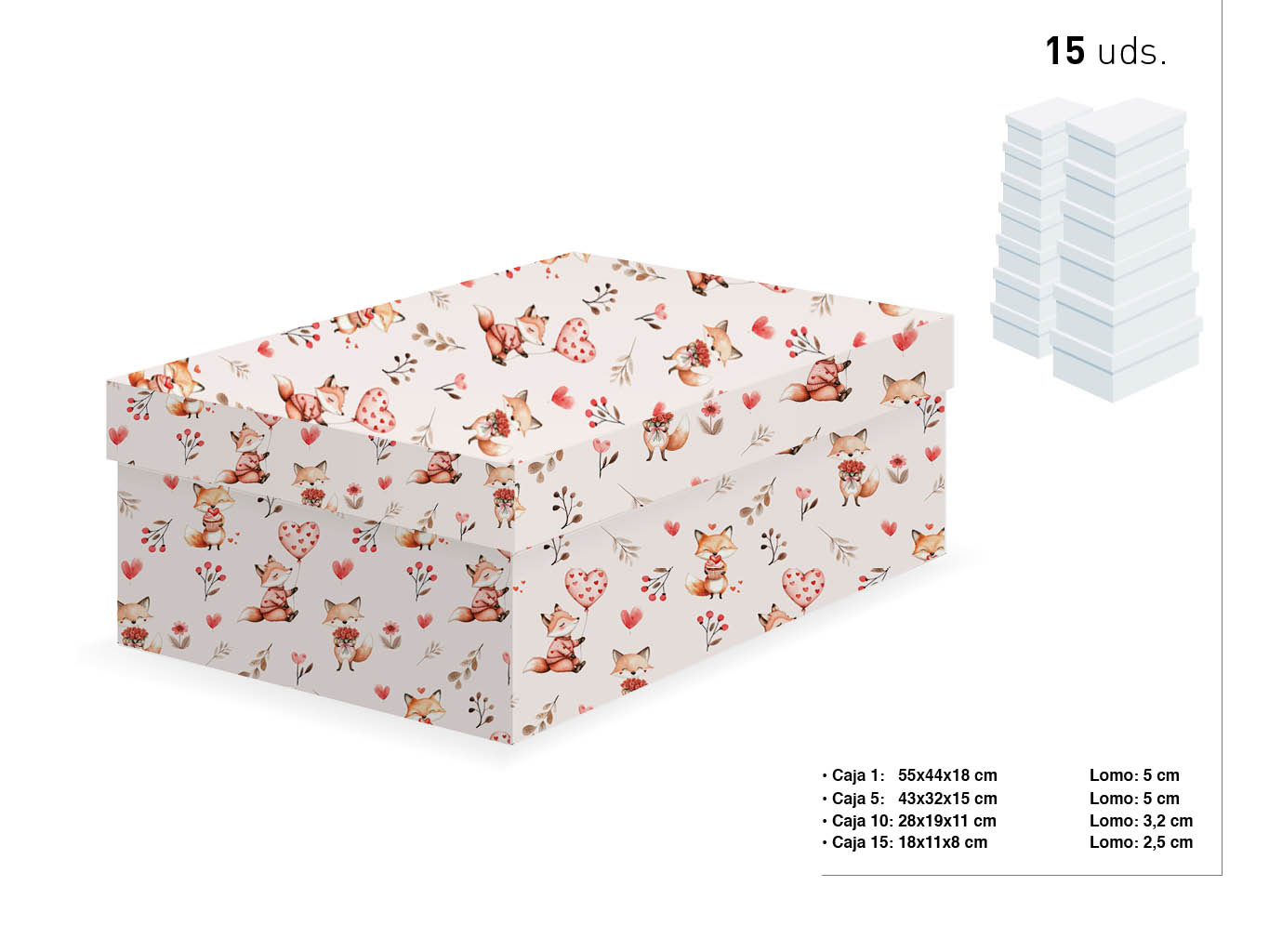 SET 15 CAJAS ZORROS 55X44X18-18X11X8 cod. 9201067