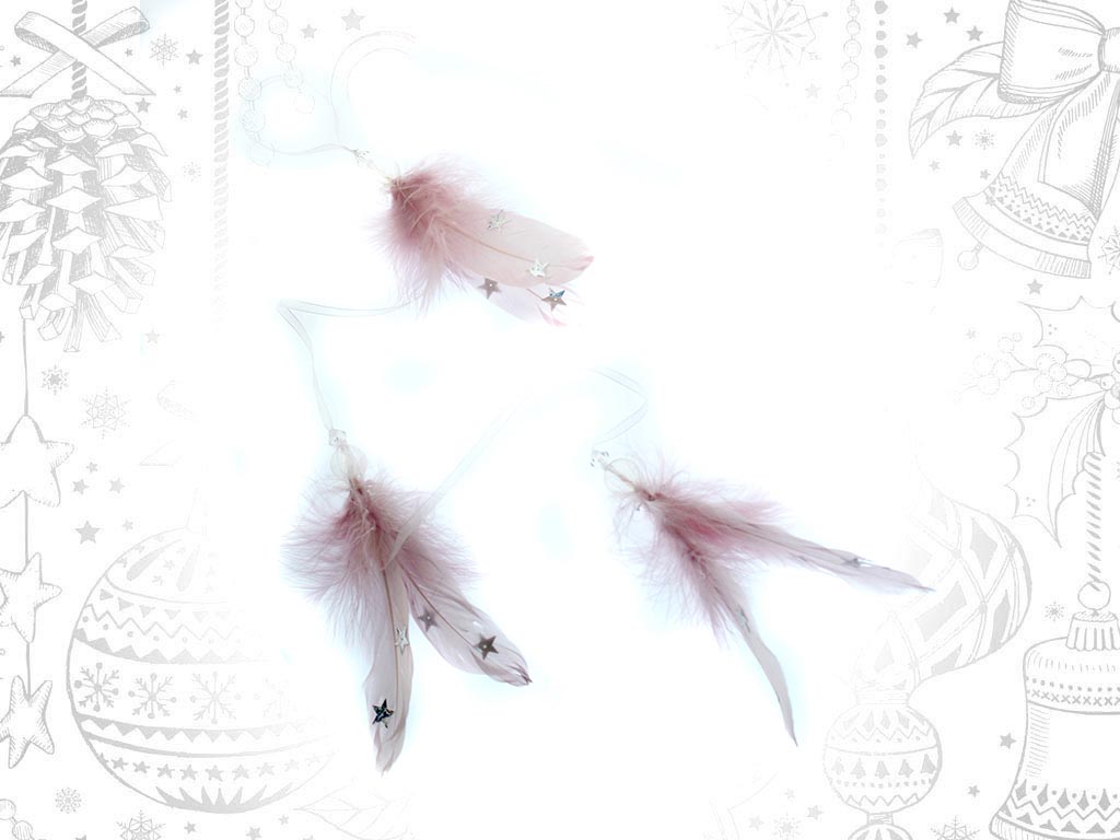 LONG PINK FEATHERS ORNAMENT cod. 9308940