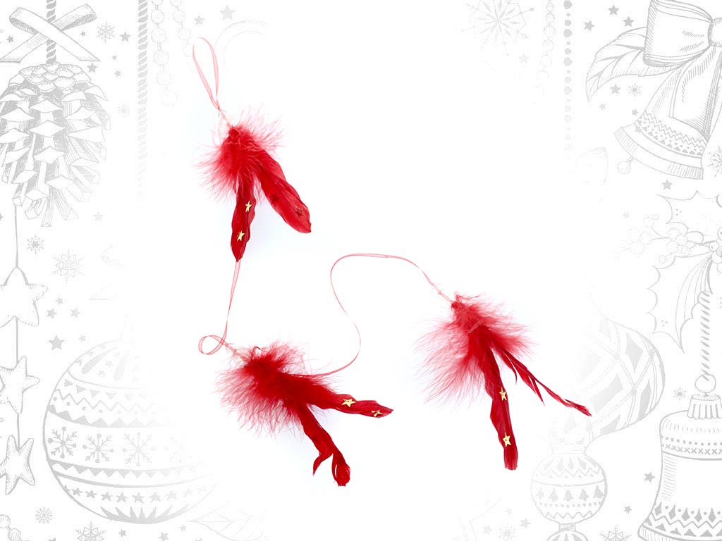 ORNEMENT LONGUE PLUMES ROUGES cod. 9308958