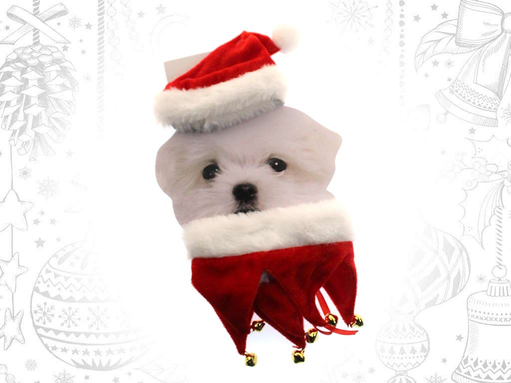 ACCESSOIRE ANIMAL CHAPEAU XMAS cod. 9318780