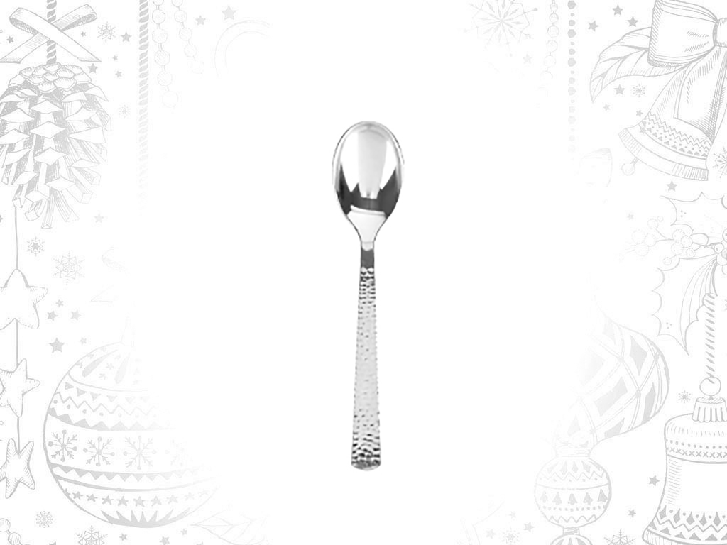 6 PACK SILVER SPOONS cod. 9321240