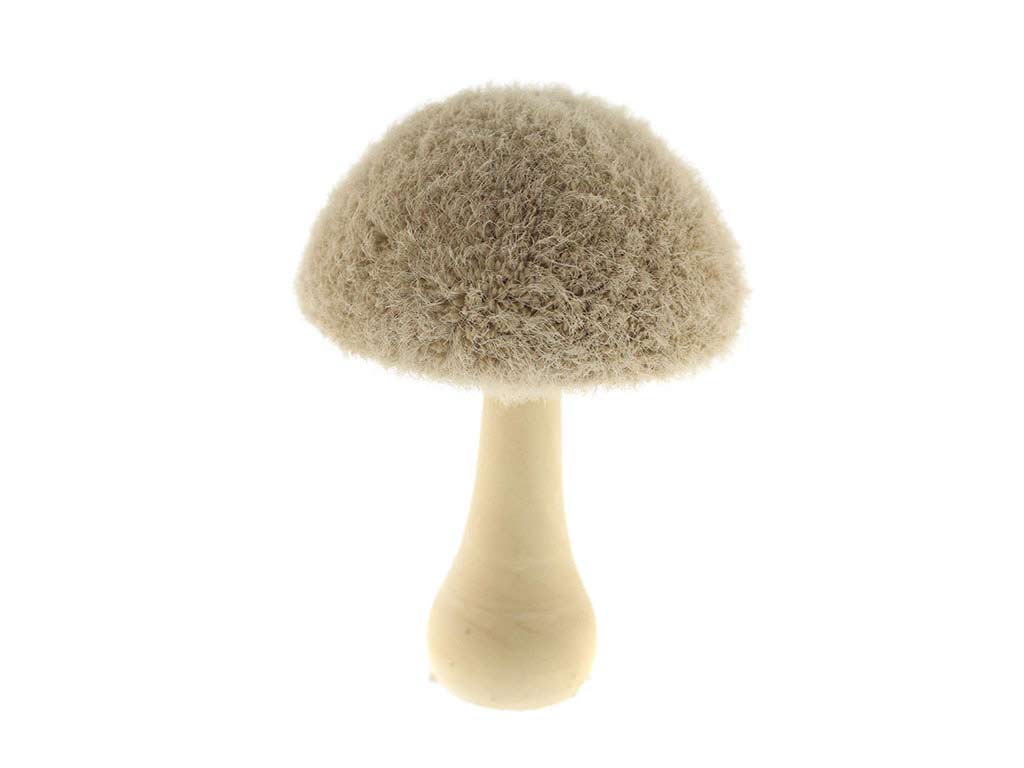 FUNGHI BEGI -S- cod. 9324041